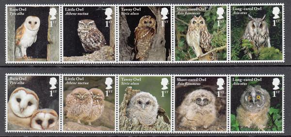 190113OwlsStamp .jpg