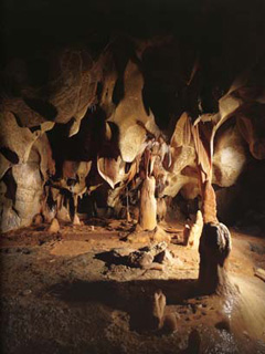 021128Doukutsu3tiauvetcave.jpg